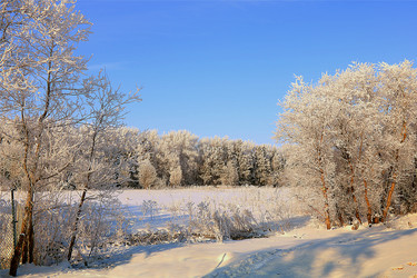 Similar image 21633571