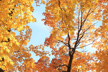 Similar image 21633572