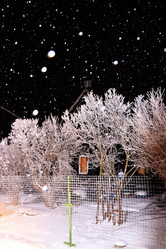 Similar image 21633575