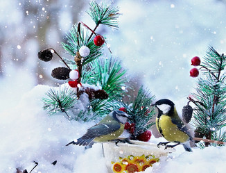 Similar image 21633577