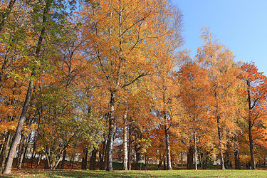 Similar image 21633579