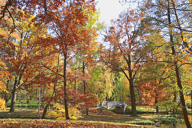 Similar image 21633582