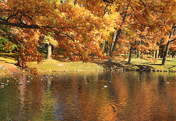 Similar image 21633588