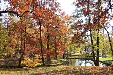 Similar image 21633589