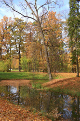 Similar image 21632990