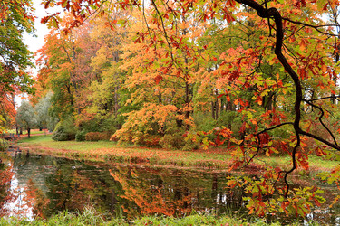 Similar image 21632992