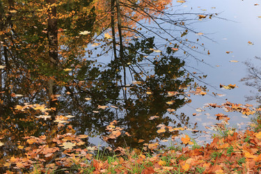 Similar image 21632996