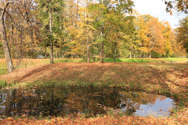 Similar image 21632997