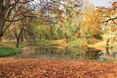 Similar image 21632998