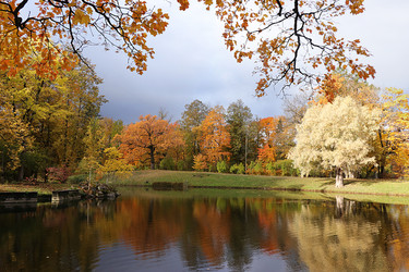 Similar image 21632999