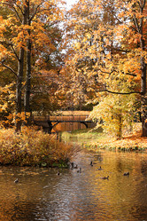 Similar image 21633000