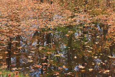 Similar image 21633004