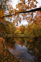 Similar image 21633005