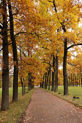 Similar image 21633006