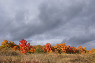 Similar image 21633008