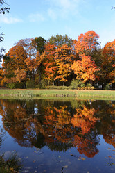 Similar image 21633009