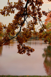 Similar image 21633015