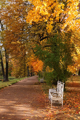 Similar image 21633019