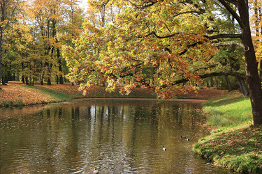 Similar image 21633020