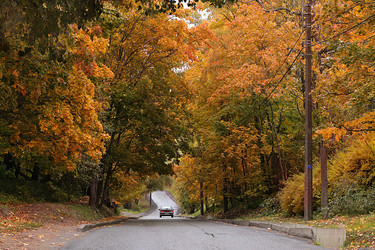 Similar image 21633021