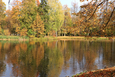 Similar image 21633027