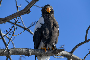 Similar image 21633033