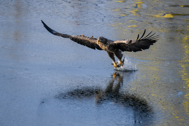 Similar image 21633034