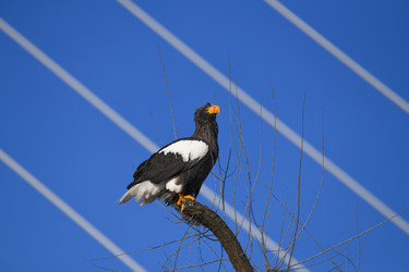 Similar image 21633035