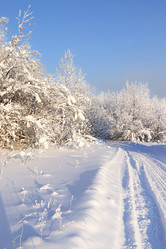 Similar image 21633899