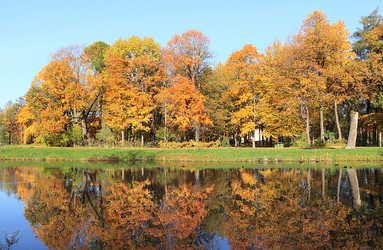 Similar image 21633904