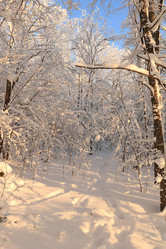 Similar image 21633907