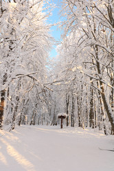 Similar image 21633909