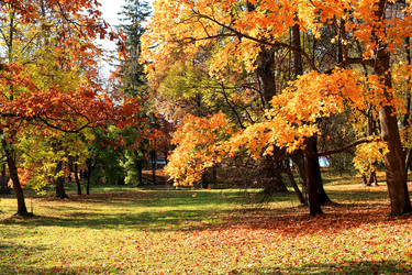 Similar image 21633912