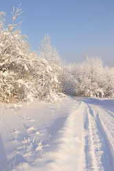 Similar image 21633913