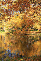 Similar image 21633915