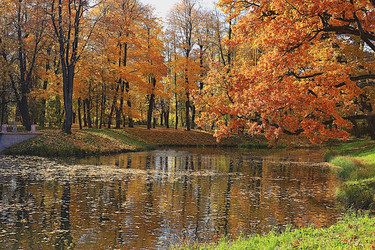 Similar image 21633916