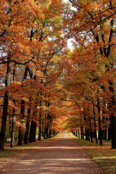 Similar image 21633918