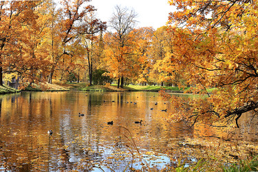 Similar image 21633923