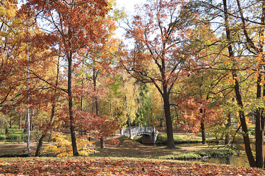 Similar image 21633925