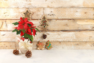 Similar image 21633953