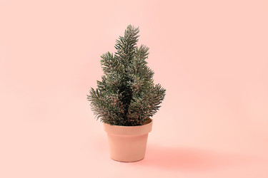 Similar image 21634190