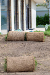 Similar image 21633796