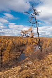 Similar image 21633743