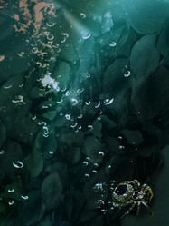 Similar image 21637654