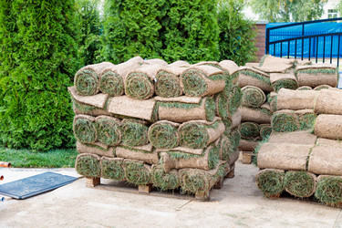 Similar image 21633820