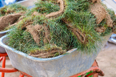 Similar image 21633824