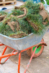 Similar image 21633826