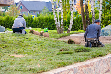 Similar image 21633828