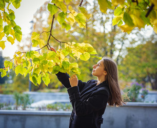 Similar image 21633851