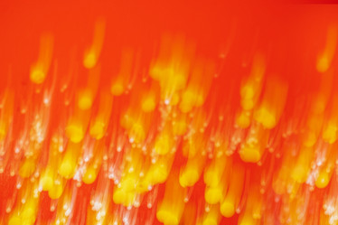 Similar image 21638363